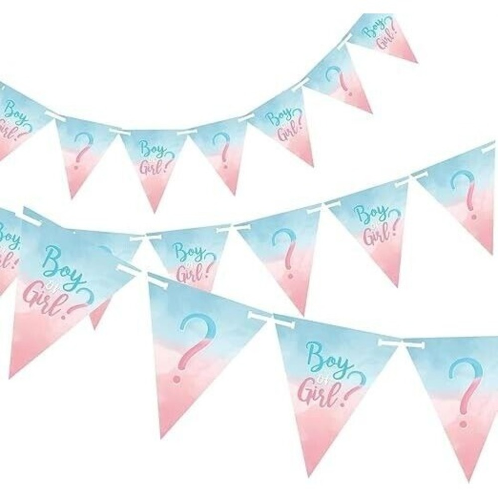The Big Reveal Blue‎ Pink Paper Pennant Banner 15ft